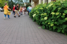 img_9917-kopiowanie-jpg1721239071